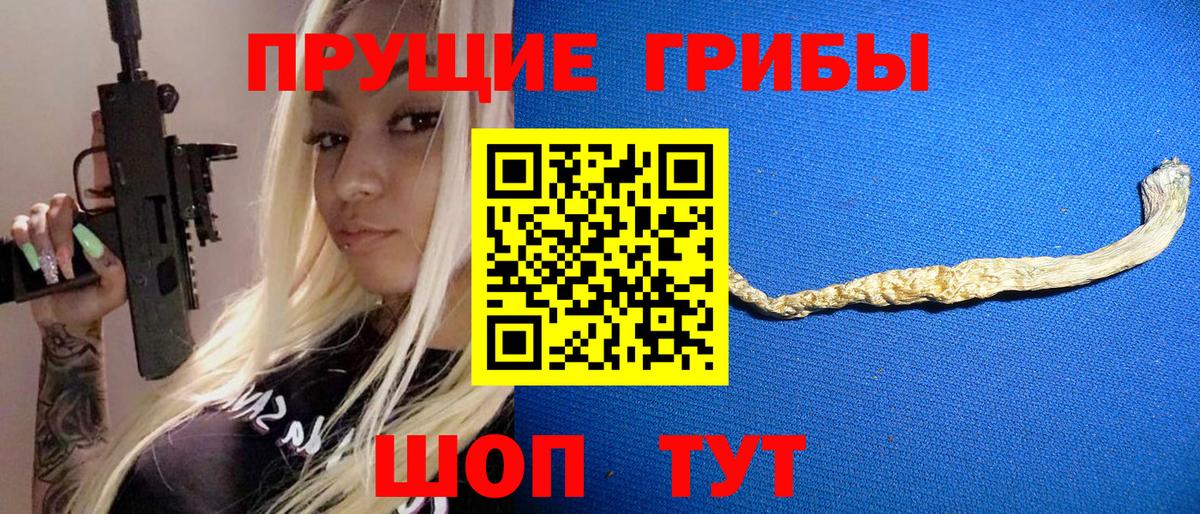 Галлюциногенные грибы Psilocybine cubensis Великий Устюг