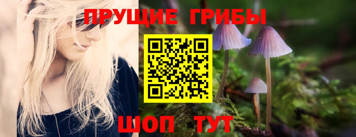 Великий Устюг  Псилоцибиновые грибы Psilocybine cubensis  Вход с VPN  Псилоцибиновые грибы прущие грибы 
